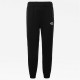 The North face Explorer Fleece Pant