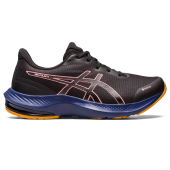 Asics Gel Pulse 14 Gore Tex Lady