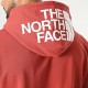 The North face Seasonal Light Drew Peak hoodie