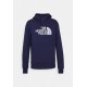The North Face Sweat Drew Peak Hoodie