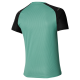 Mizuno T-Shirt Dry Aero Flow