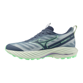 Mizuno Wave Rider Gore Tex 2