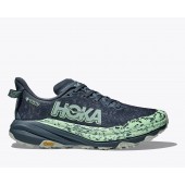 Hoka One One W Speedgoat 6 Gore Tex Lady