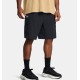 Under Armour Short Cargo Vibe Woven