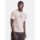 Craft T-Shirt ADV Trail Wool