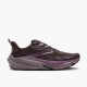 Brooks Ghost Trail Lady