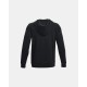 Under Armour Veste Icon Fleece Hoodie