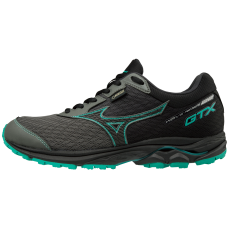 Mizuno Wave Rider 22 Gore Tex Femme